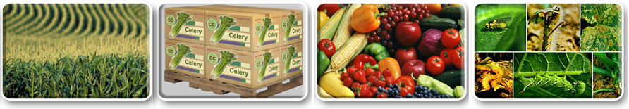   Benefits and Applications of PRA