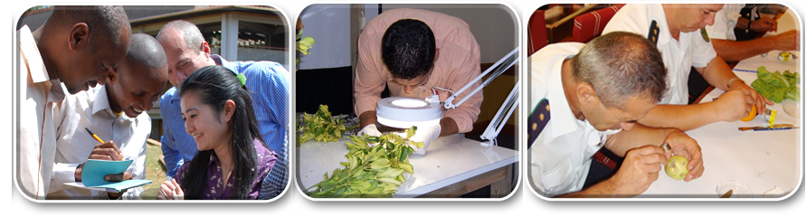 Who Performs Pest Risk Analysis?