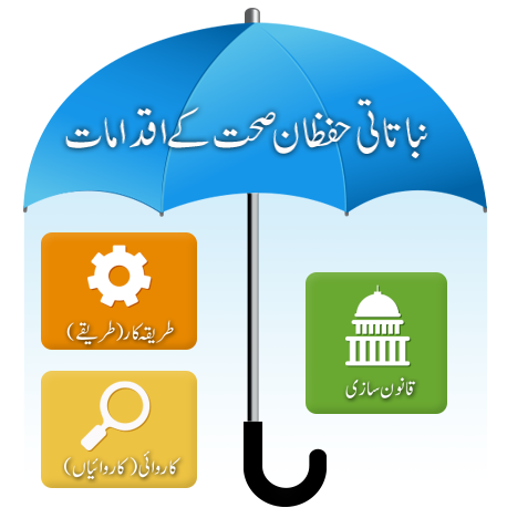 Terms to Know and Understand: Measures