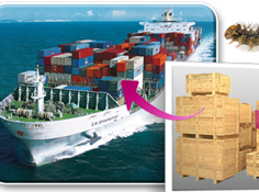 Shipping, Containers, Ships and Railcars