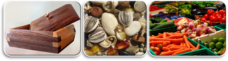 Commodities and Pests